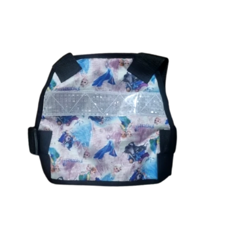 1BABY-MOTO-ESTAMPADO-NIÑA-FROZEN-BV